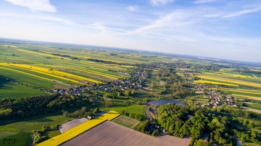 aerial view of the green and yellow agriculture of lublin poland